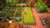 SWITCH Fae Farm