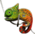 EUGY Chameleon 3D kartonová skládačka