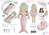 DeCuevas 20041 Plüschpuppe 2in1 OCEAN FANTASY - 36 cm mit Wiege