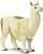 Safari® Lama