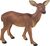 Safari® Srnka