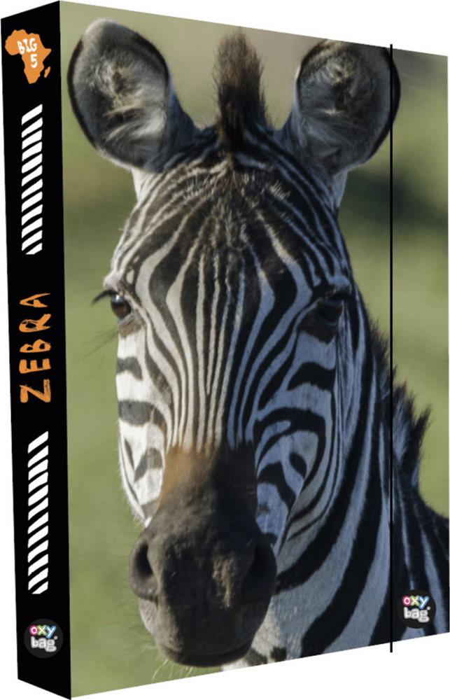 Box na sešity A4 Jumbo Zebra
