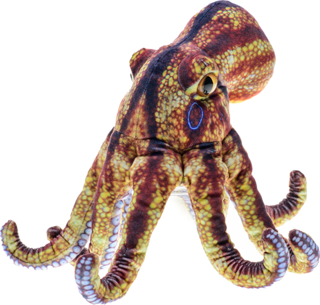 Chobotnice plyšová 26cm