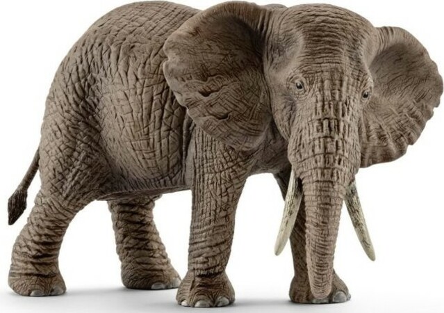 Schleich Samice slona afrického