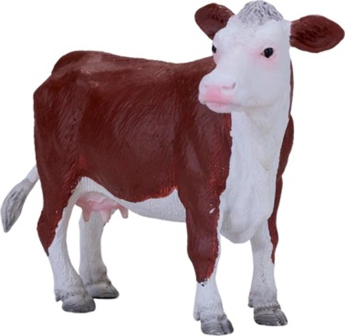 Moje Herefordská kráva