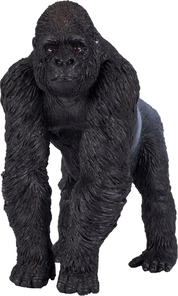 Mojo Gorila stříbrohřátová samec