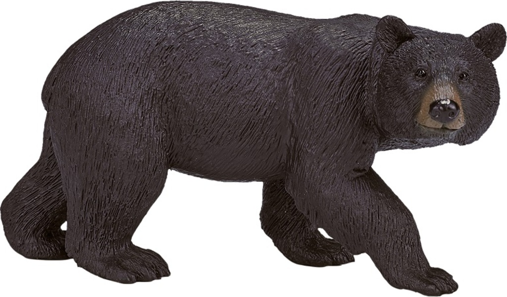 Mojo Medved baribal