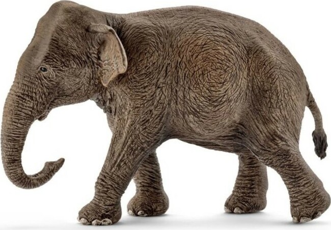 Schleich Asijský slon samice