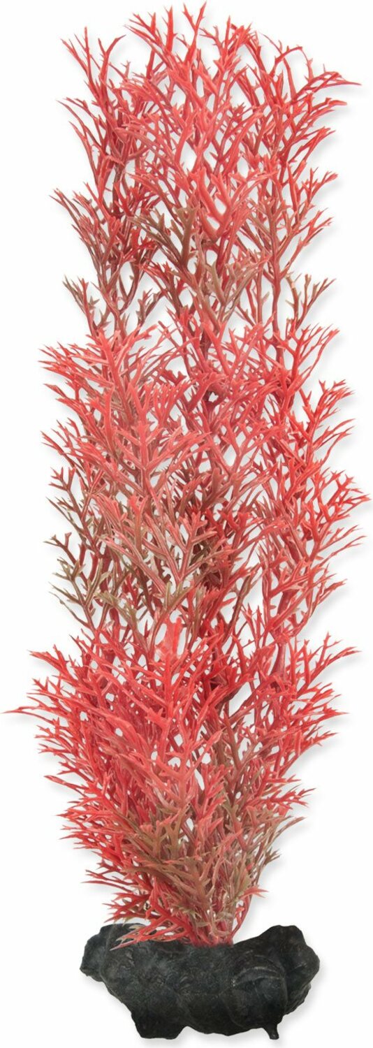 Dekorace Tetra Rostlina Foxtail Red M 23cm