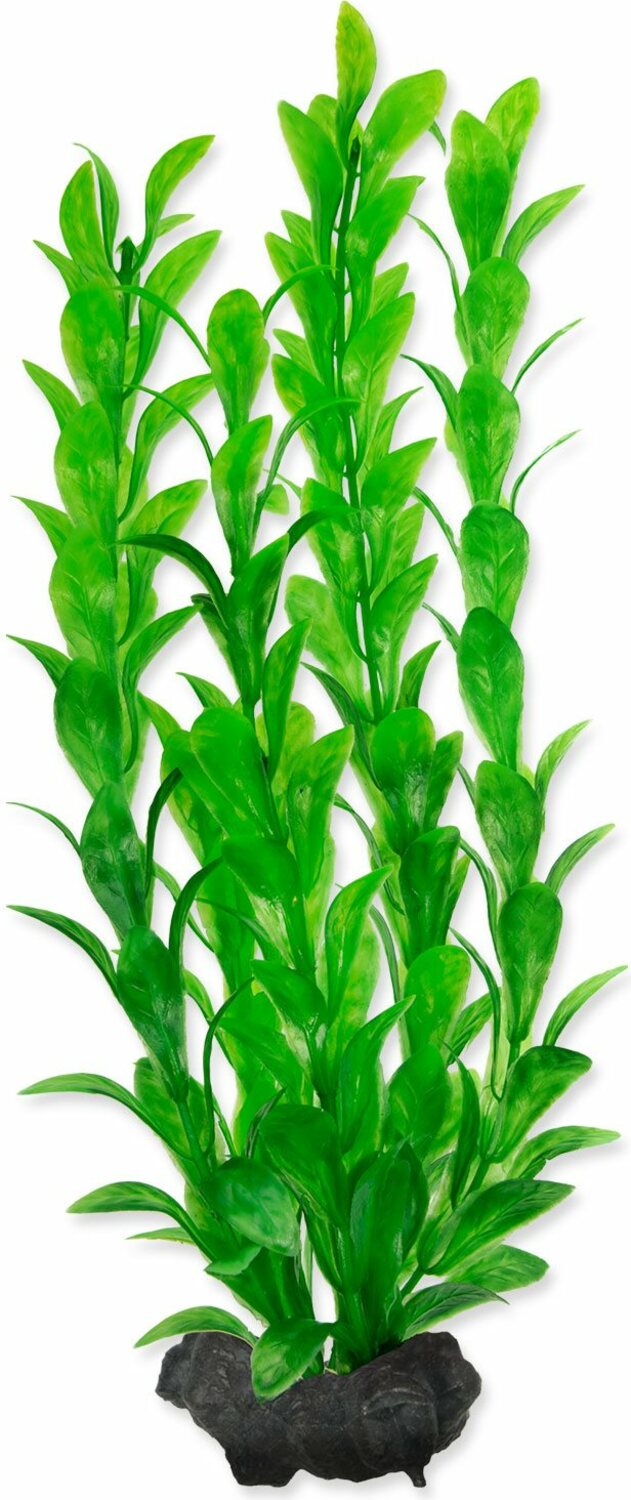Dekorace Tetra Rostlina Hygrophila M 23cm