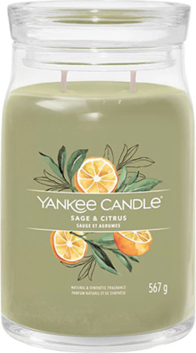 Yankee Candle, Šalvěj a citrus, Svíčka ve skleněné dóze 567 g