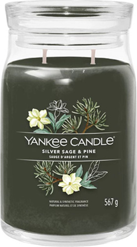 Yankee Candle, Stříbrná šalvěj a borovice, Svíčka ve skleněné dóze 567 g