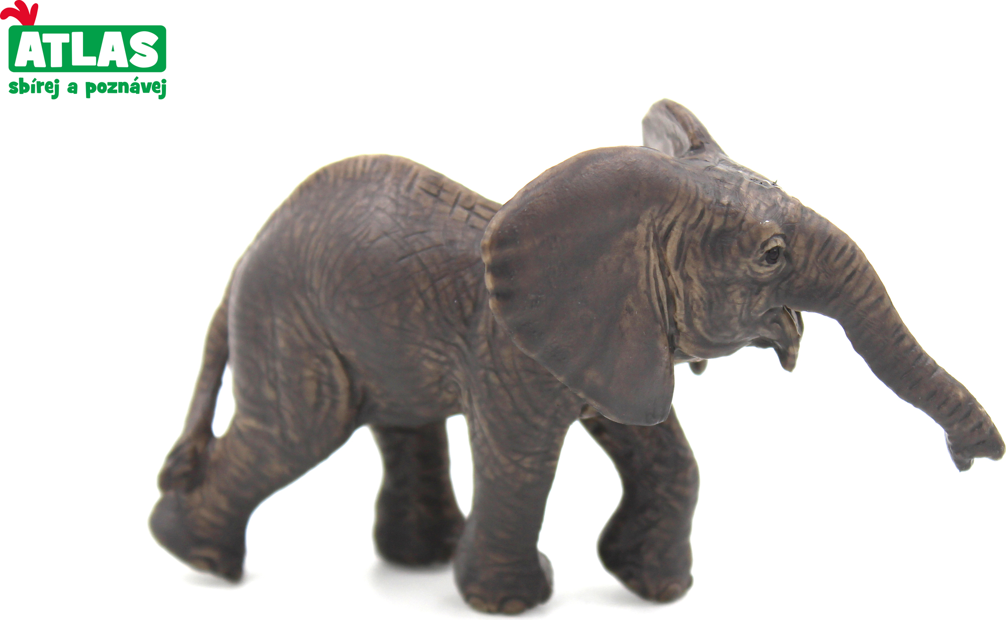 Figurka Slůně africké 9cm