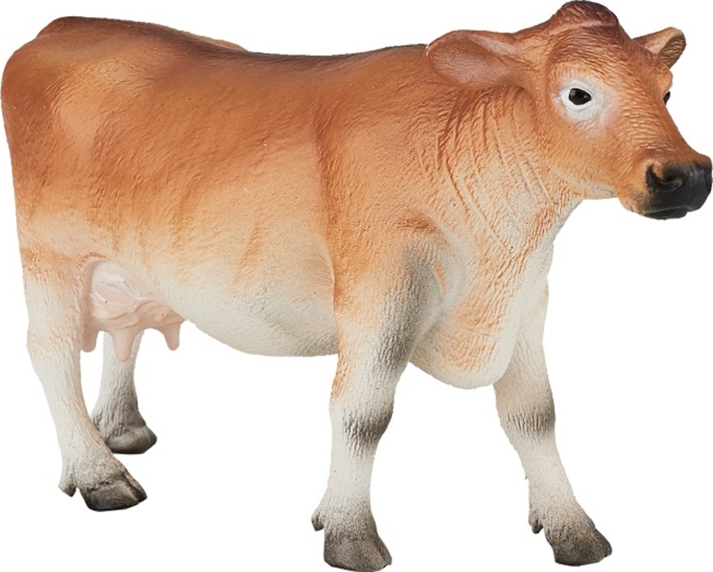 Moje Jerseyská kráva