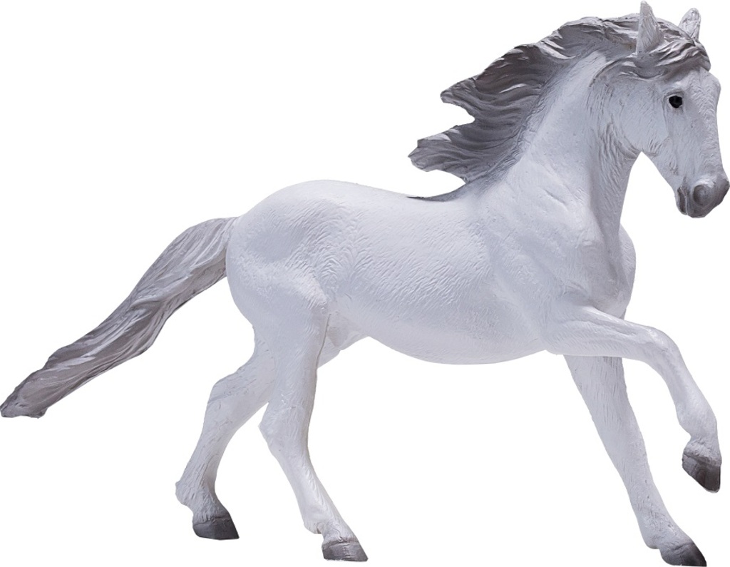 Mojo Kůň Lusitánský bílý