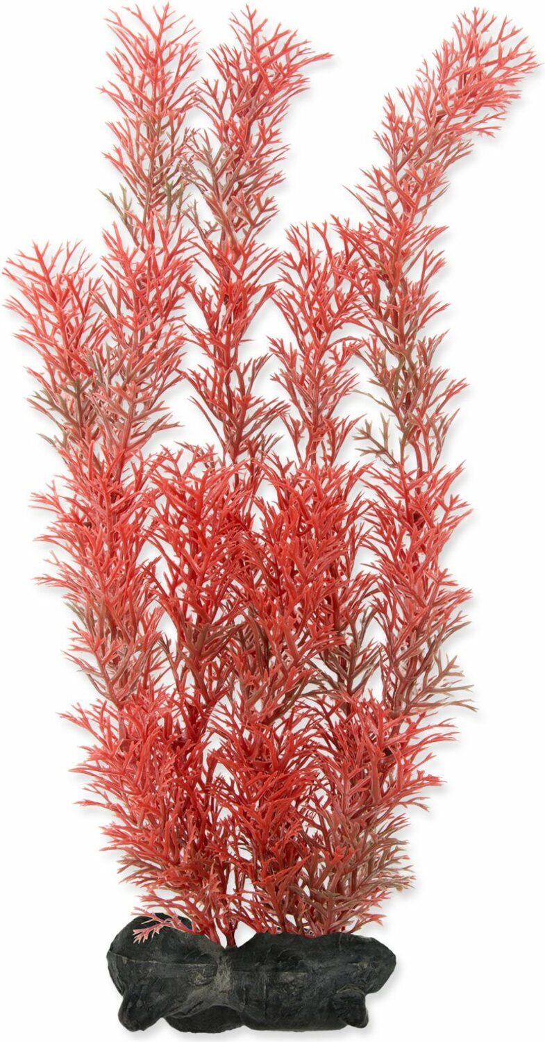 Dekorace Tetra Rostlina Tetra Foxtail Red L 30cm