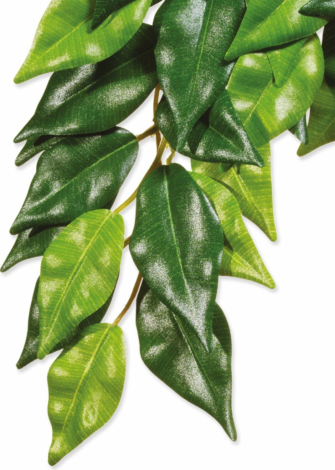 Dekorace Exo Terra Rostlina textil Ficus malá
