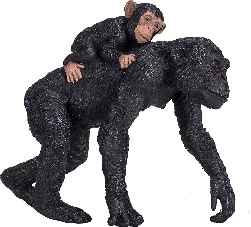 Mojo Šimpanz a mládě