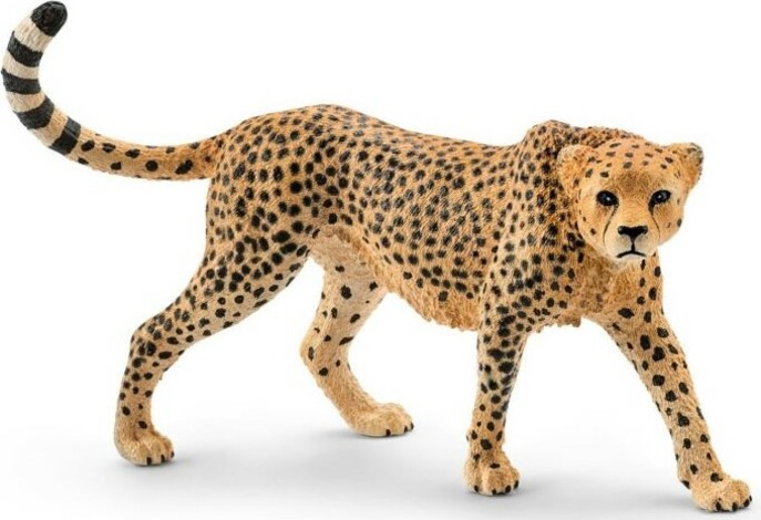 Schleich Gepard samice