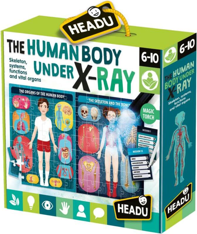 Lidské tělo pod rentgenem EN