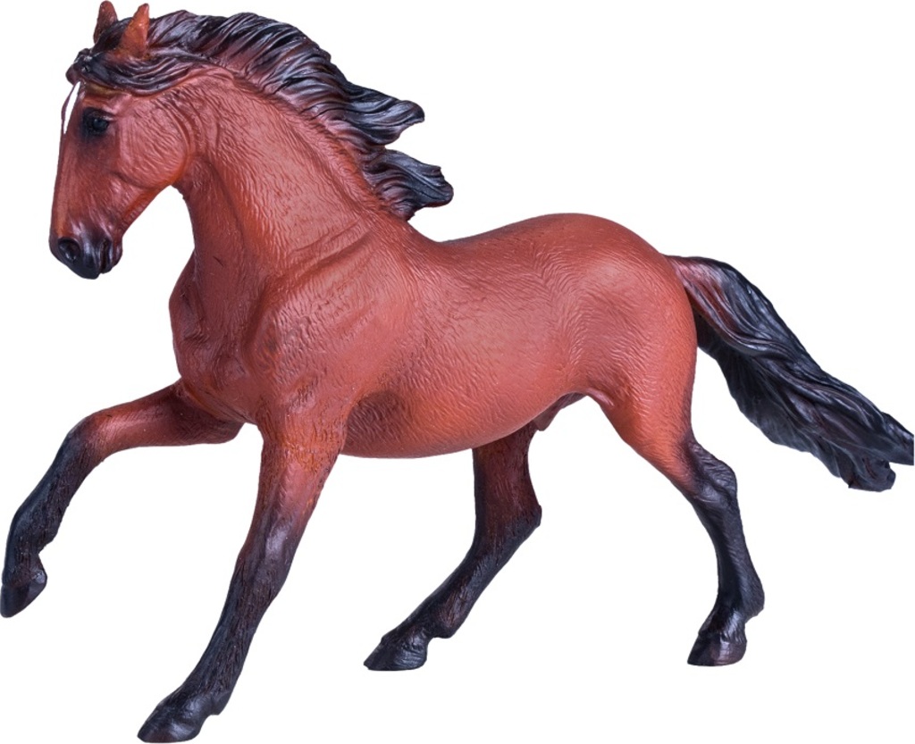 Mojo Kůň Lusitánský hnědý
