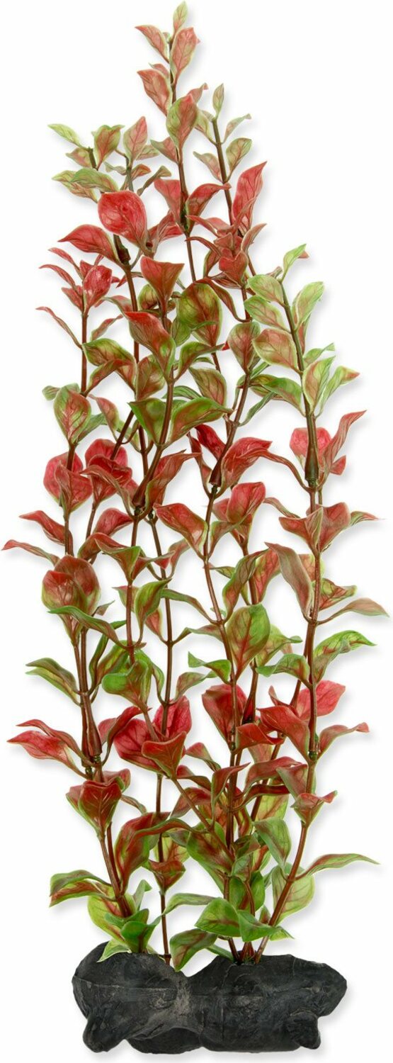 Dekorace Tetra Rostlina Red Ludwigia L 30cm