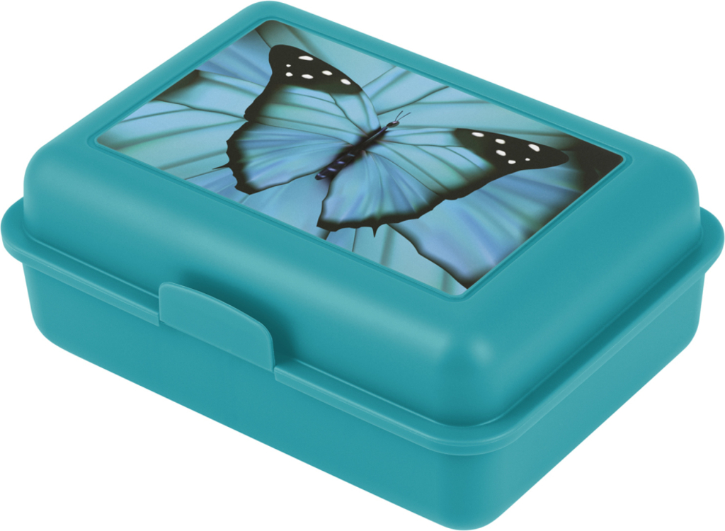 BAAGL Box na desátu motýľ