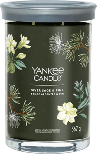 Yankee Candle, Stříbrná šalvěj a borovice, Svíčka ve skleněném válci 567 g