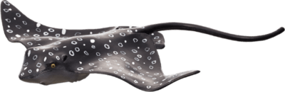 387352_Spotted_Eagle_Ray-540x189.png