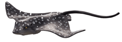 387352_Spotted_Eagle_Ray-540x189.png