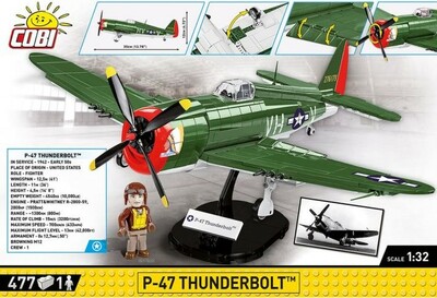 5737-P-47 Thunderbolt-back.jpg