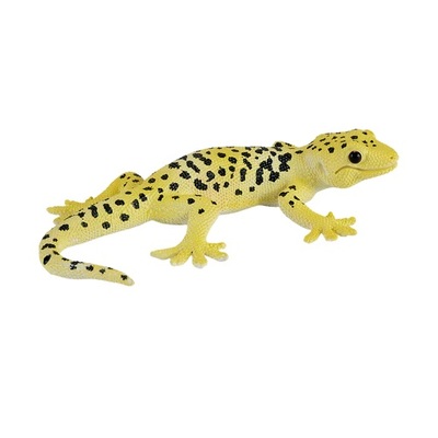 MJ381077_Leopard_Gecko_1.jpg