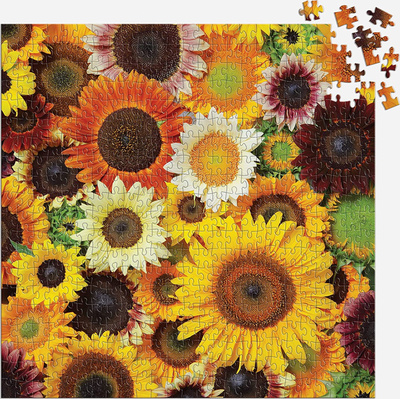 9780735374904_2.puzzle.jpg
