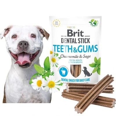 BRIT-DENTAL-TEETH-GUMS-WITH-CHAMOMILE.jpg