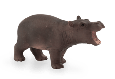 387246_HIPPO_BABY-540x374.png