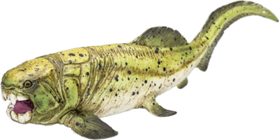387374_Dunkleosteus_5-540x540.png