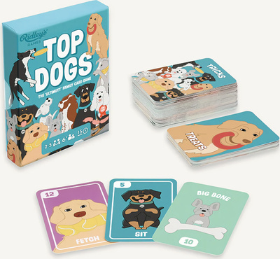 0810073341333.cards.jpg