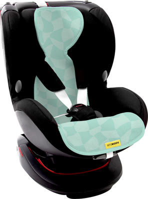 AGS/AL-1-CC/AL-1-CC-carseat.jpg