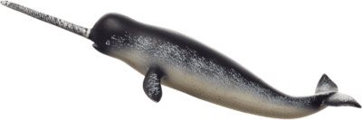 387354_Narwhal-540x191.png