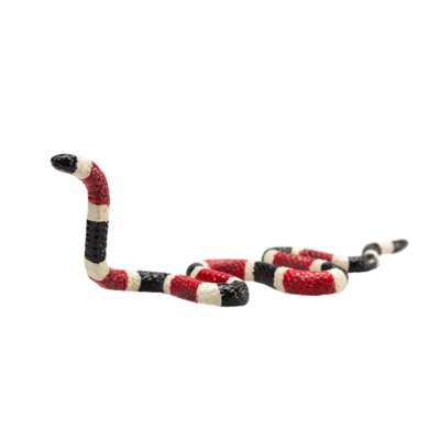 387251_Coral_Snake_1-540x540 (1).png