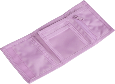 file_en_160793_l.png