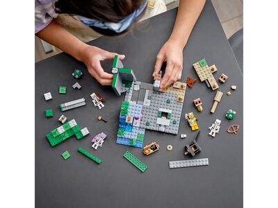 LEGO_21189_alt3.jpg