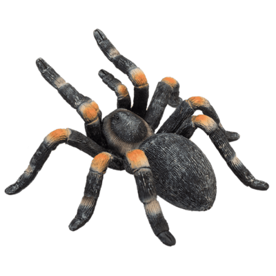 387213_Red_Kneed_Tarantula_5-540x540.png