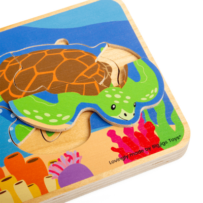 Lifecycle-Puzzle-Sea-Turtle_800x800 (2).png