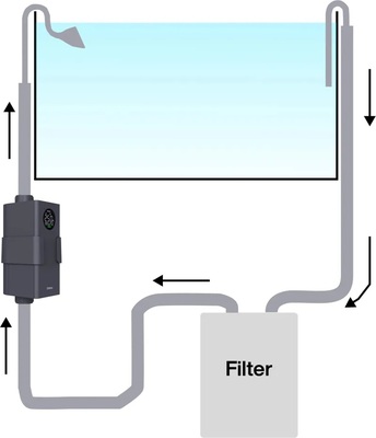 80745-0905568010.jpg