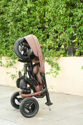 AGS/S380-17-brown/g.jpg