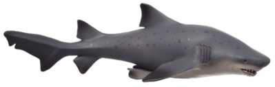 387355_Bull_Shark_Deluxe-540x172.png