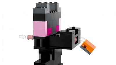 LEGO_21242_WEB_SEC03_NOBG.jpg