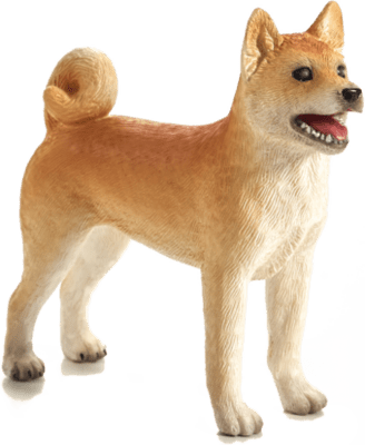 387140_Shiba_Inu-1-480x540 (1).png