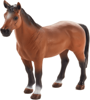 387350_Trakehner-508x540 (1).png